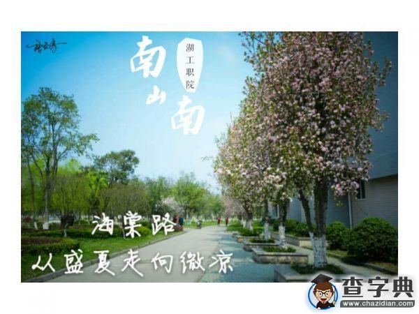 湖工職院版《南山南》火熱來襲6