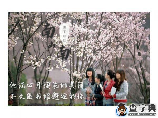 湖工職院版《南山南》火熱來襲4