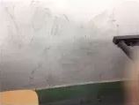 上海理工大學校園——莫讓不文明 毀了眼中景4