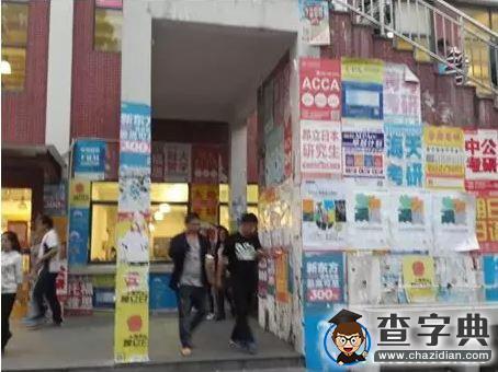 上海理工大學校園——莫讓不文明 毀了眼中景5