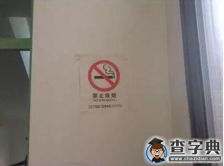 上海理工大學校園——莫讓不文明 毀了眼中景6