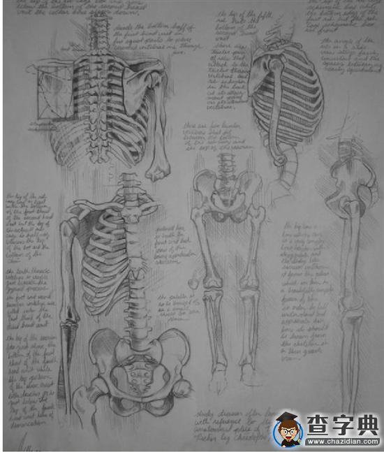 俄羅斯列賓美術學院中國招生 想混出文憑完全不可能1