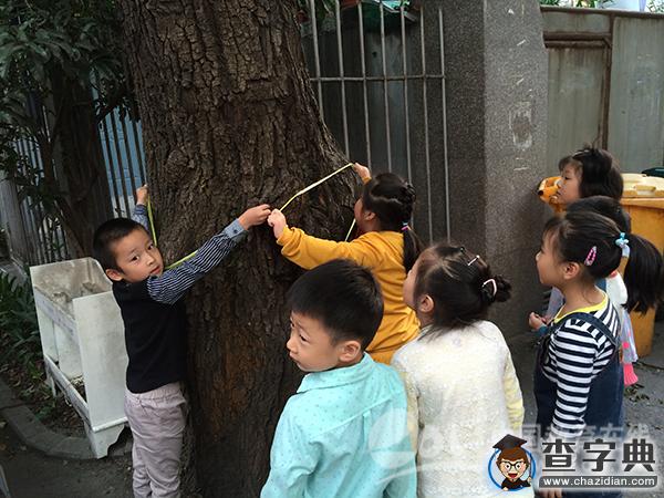 安吉路幼兒園:“樂實踐樂成長”童眼看世界園本活動2