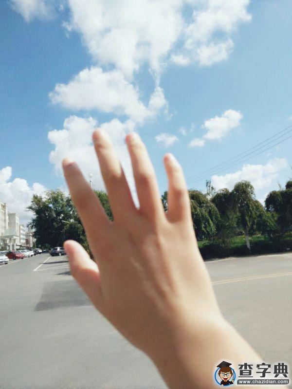 新的春天 小伙伴們的愿望是什么3