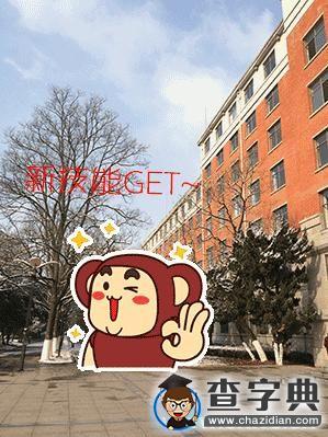 收藏 | 定有一張表情戳中你的寒假生活7