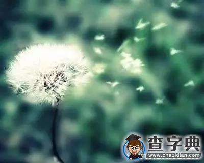 這一年，謝謝自己！2