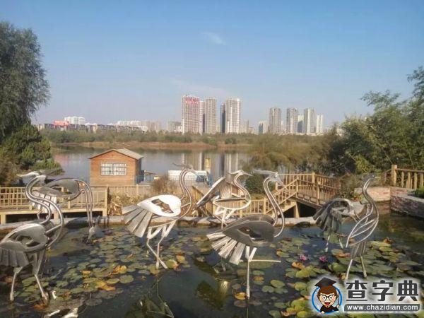 陽光是個調色板 感受臨沂之美12