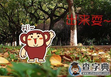 收藏 | 定有一張表情戳中你的寒假生活3