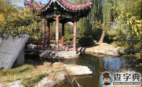 陽光是個調色板 感受臨沂之美7