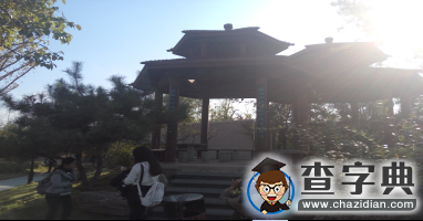 陽光是個調色板 感受臨沂之美11