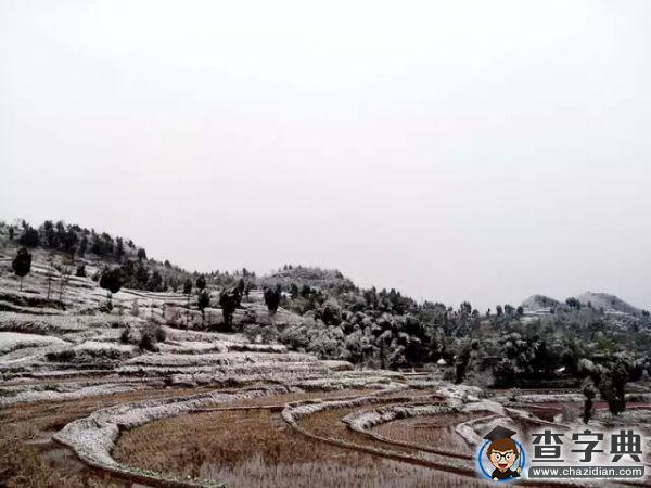 天涯海角石大人 給你各地猴新春16