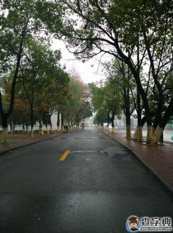 井大寒潮，你不懂的冷1