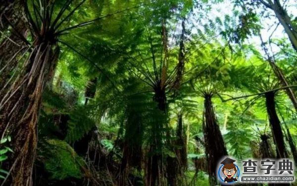 【3.12】植樹節，你今天種樹了嗎？4