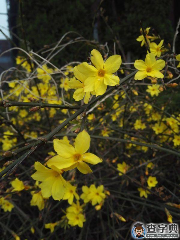 春朝三月 帶你看遍濱院“校花校草”4