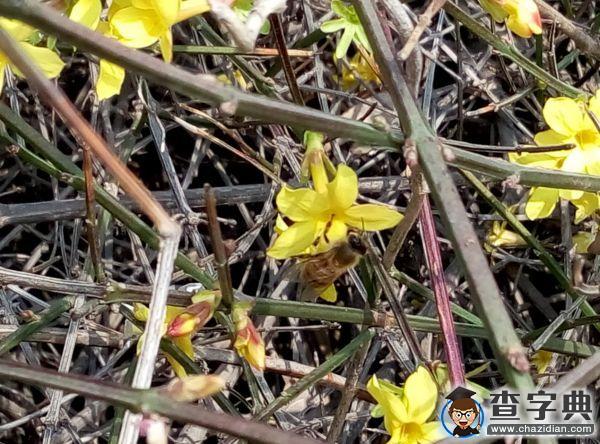 春朝三月 帶你看遍濱院“校花校草”26
