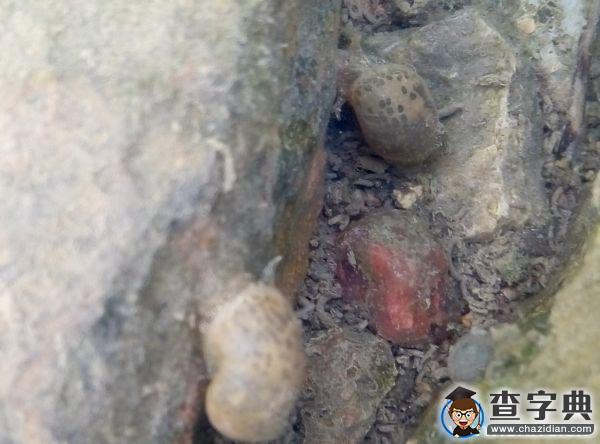 春朝三月 帶你看遍濱院“校花校草”24