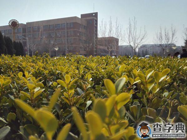 春朝三月 帶你看遍濱院“校花校草”5