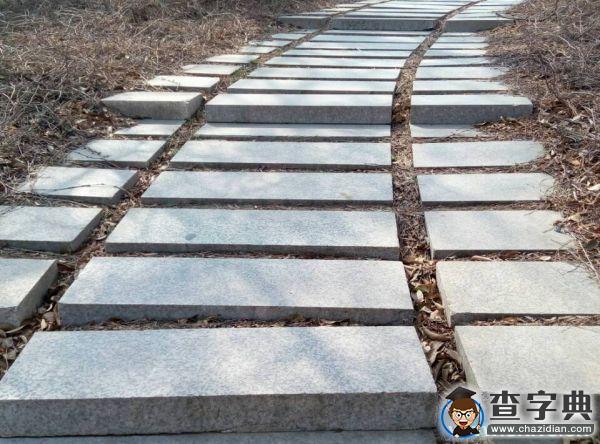 春朝三月 帶你看遍濱院“校花校草”10
