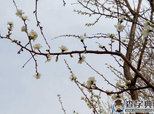春朝三月 帶你看遍濱院“校花校草”2