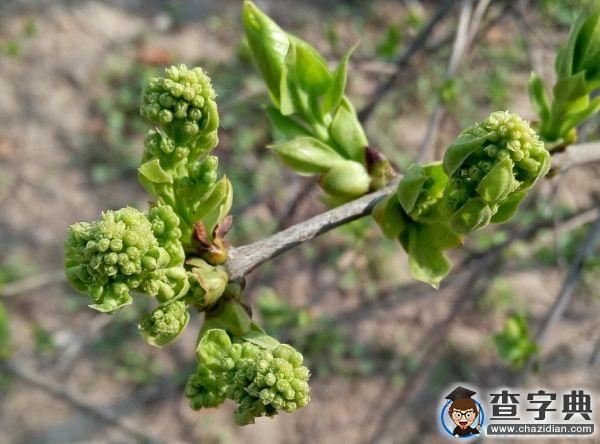 春朝三月 帶你看遍濱院“校花校草”22
