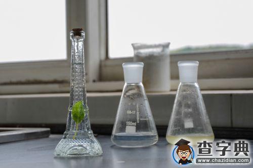華中農大第四屆大學生生物節開幕1