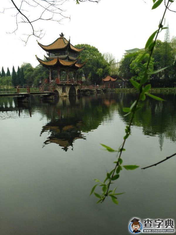 今年春天，我想在雨中的井大遇見你2