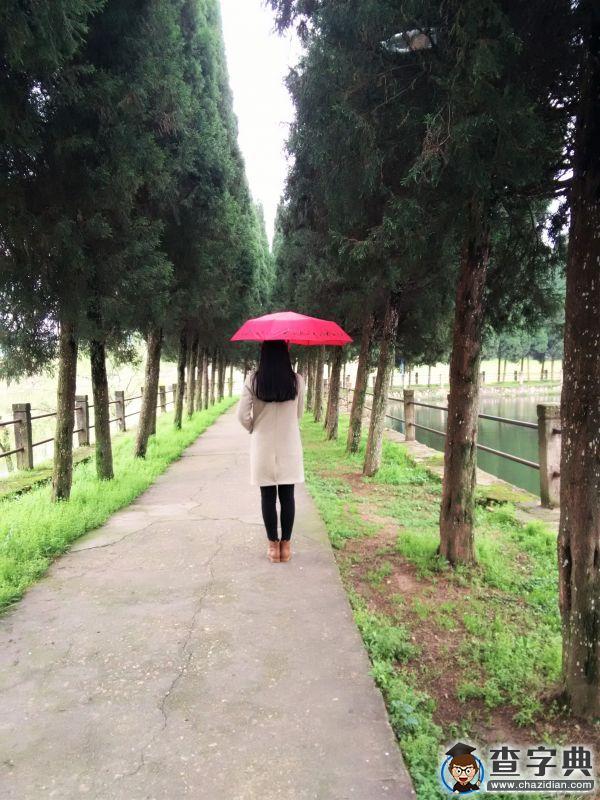 今年春天，我想在雨中的井大遇見你5
