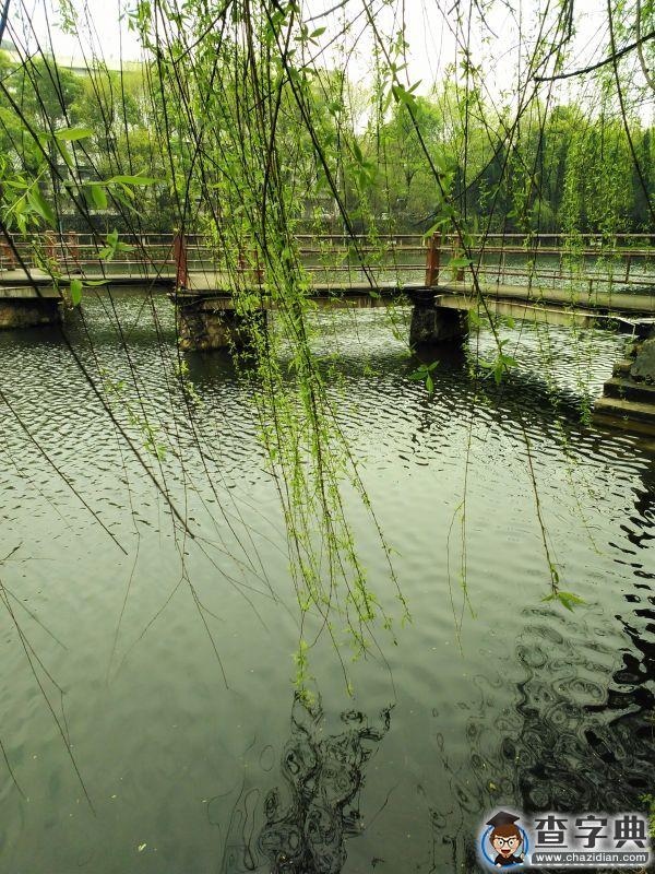 今年春天，我想在雨中的井大遇見你1