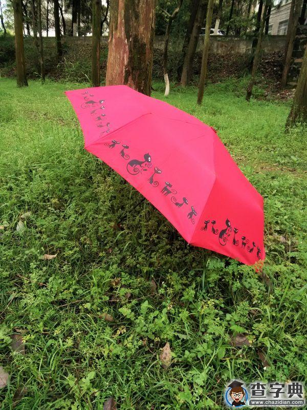今年春天，我想在雨中的井大遇見你6