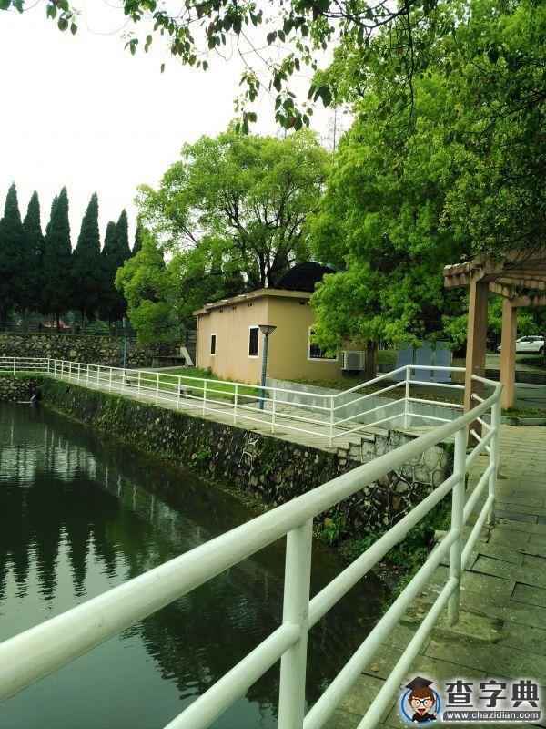 今年春天，我想在雨中的井大遇見你3