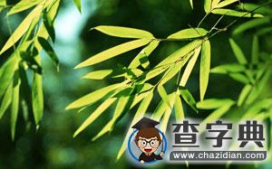 搶奪調劑名額4大途徑，無敵是么多的寂寞？1