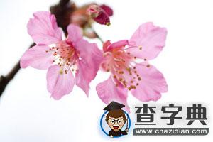考研二戰：選專業需要注意的那些事兒！1