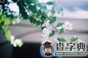 一個考研落榜學姐的自白（最忠實的建議！）1