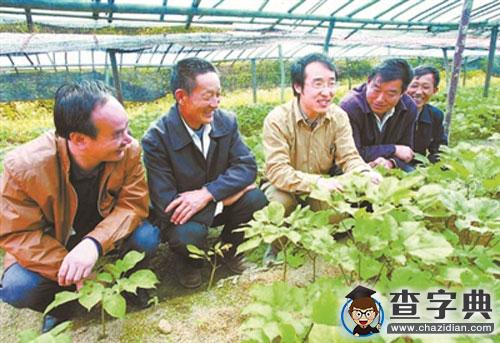 安徽農大：30年，300多名教師把根扎進大別山1