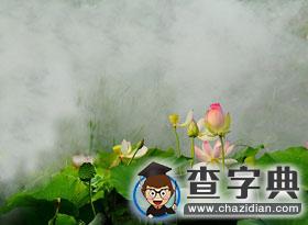 在職二戰清華：戳心考研心得總結！1