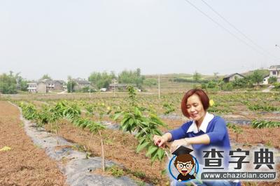 清華女碩士李紅梅扎根荒山1