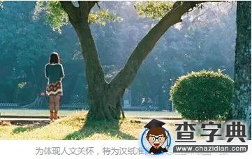 過來人 | 如何正確地“撩”導師（理論篇）1