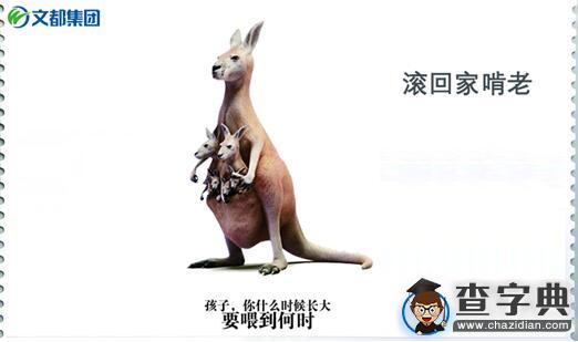 那年畢業，是誰的6