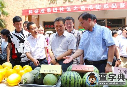 科研成果再共享 西農大3萬斤西甜瓜送學生4