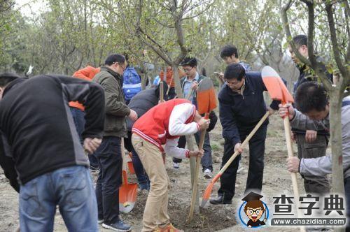 植樹節：電子科技大學新栽367株“垂絲海棠”4