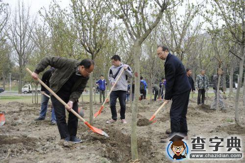 植樹節：電子科技大學新栽367株“垂絲海棠”1