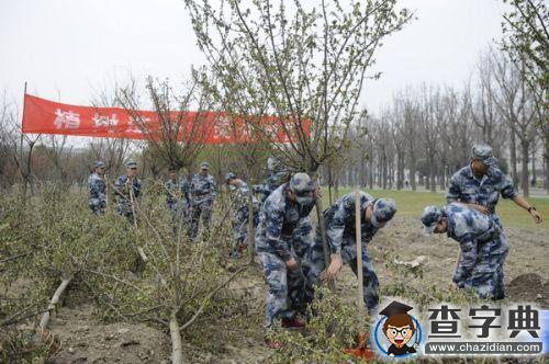 植樹節：電子科技大學新栽367株“垂絲海棠”5