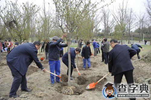 植樹節：電子科技大學新栽367株“垂絲海棠”2
