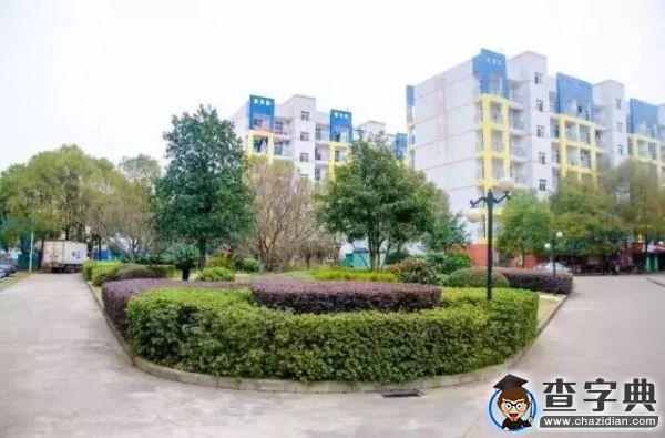 傳說中的湖南師范大學 全方位解讀讓你大開眼界24