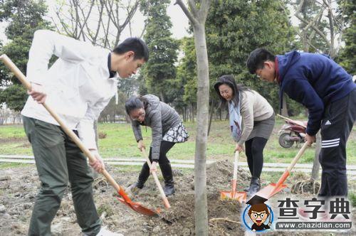 植樹節：電子科技大學新栽367株“垂絲海棠”3