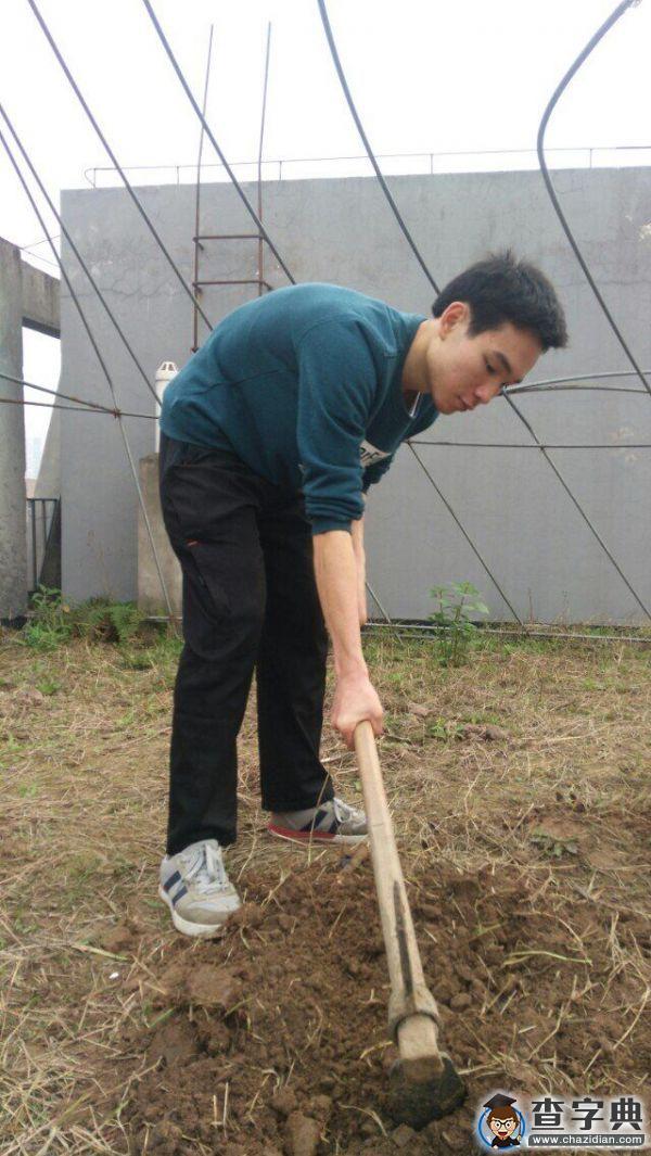 農耕——揭開新春的面紗1