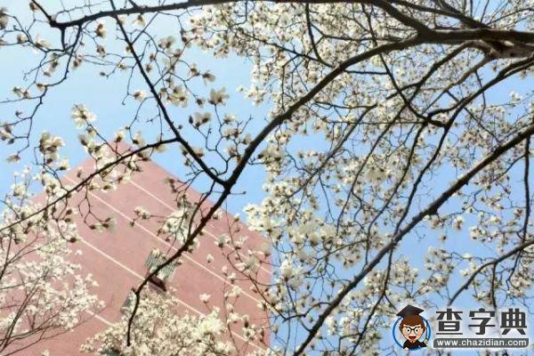 傳說中的湖南師范大學 全方位解讀讓你大開眼界5