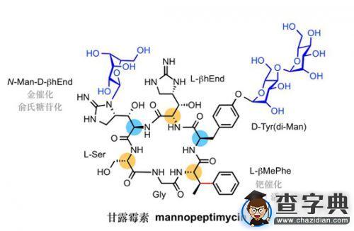 南開大學團隊首次化學全合成抗耐藥菌天然產物“甘露霉素”2