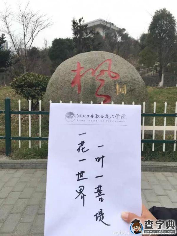 湖北工業職業技術學院秀出校園建筑版“A4腰”3