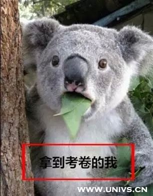 四六級吐槽大會 那些年我們報名只為體驗真題1